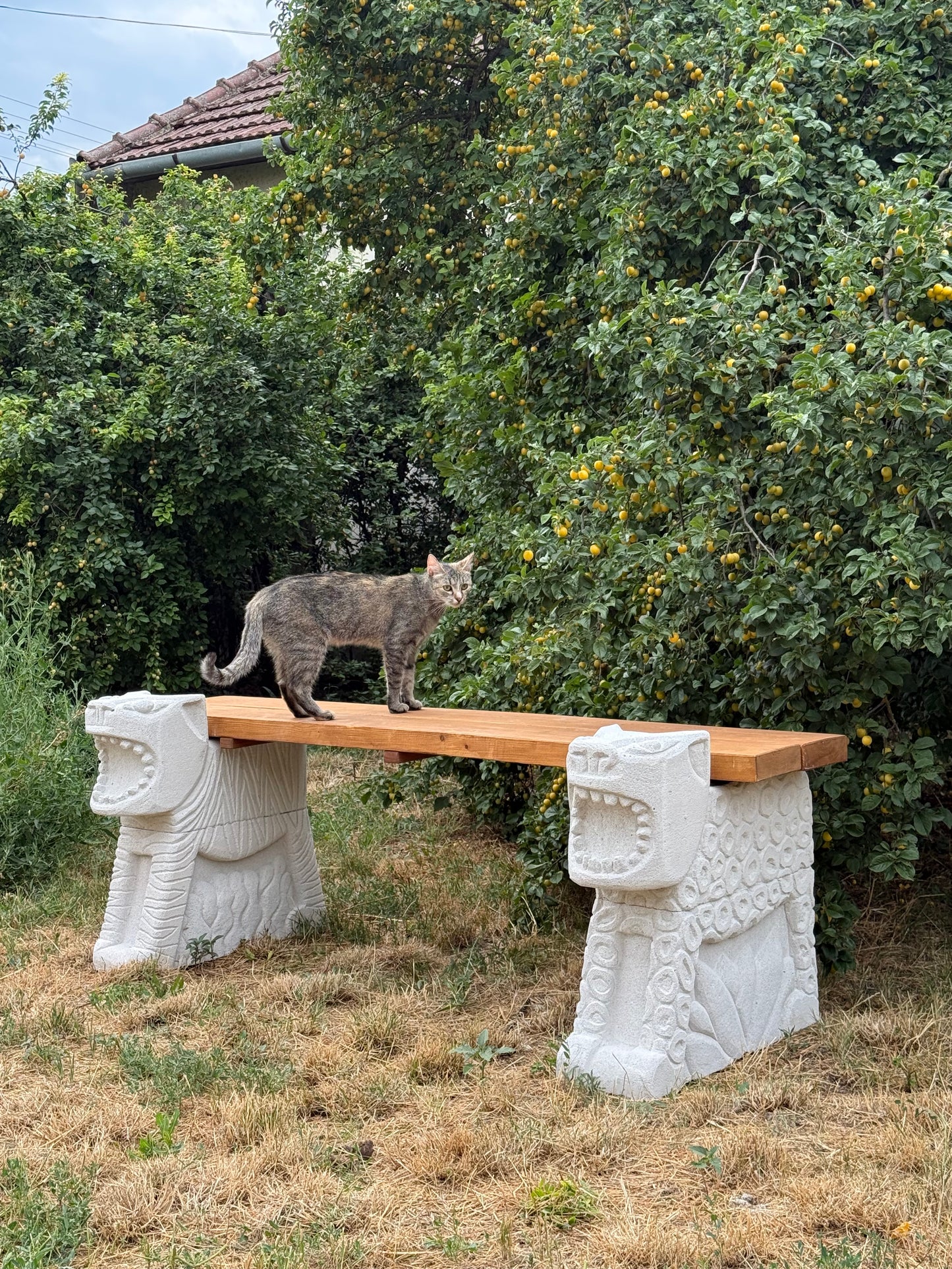 Mythic Orchard Gardian Bench